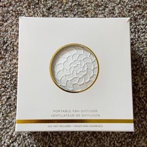 Portable fan diffuser